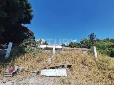 Blvd Benito Juárez 607,, Cuernavaca, 莫雷洛斯 62040, 墨西哥