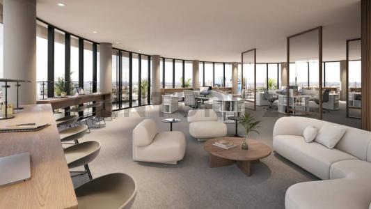 Las Lomas, Asunción 00001, Paraguay