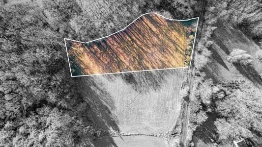 Vlčtejn, Plzeň-jih, Czech Republic