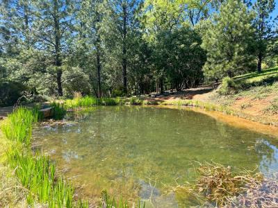 14838 Christophers Place, Grass Valley, California 95945, Estados Unidos