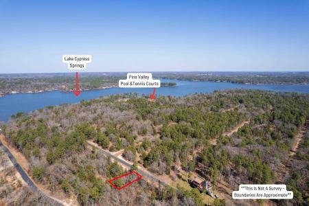 TBD Angelina St, Scroggins, Texas 75480, USA
