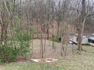 247 Tatum Road, Talking Rock, Géorgie 30175, États-Unis