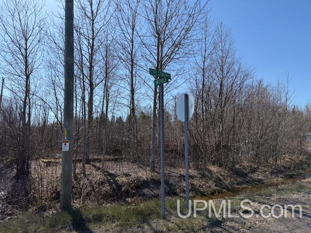 TBD M-203 Hwy, Calumet, Michigan 49913, États-Unis