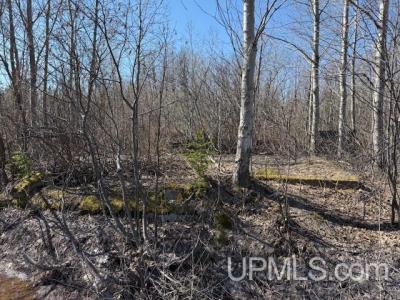 TBD M-203 Hwy, Calumet, Michigan 49913, États-Unis