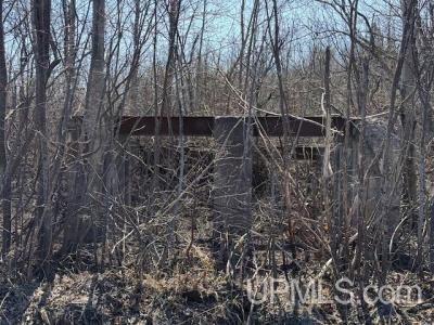 TBD M-203 Hwy, Calumet, Michigan 49913, États-Unis
