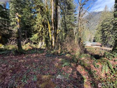 0 High Ridge Drive, Marblemount, Washington 98267, USA