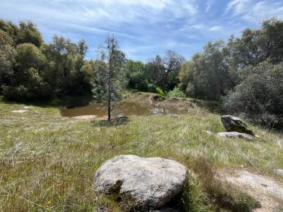 43474 Werney Rd, Coarsegold, קליפורניה 93614, ארצות הברית של אמריקה 