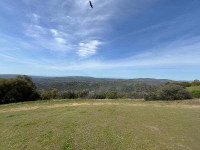 43474 Werney Rd, Coarsegold, קליפורניה 93614, ארצות הברית של אמריקה 