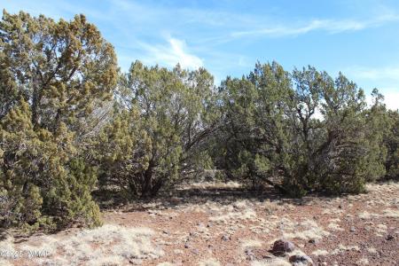 Lot 092C County Road 8238, Concho, Arizona 85924, Estados Unidos