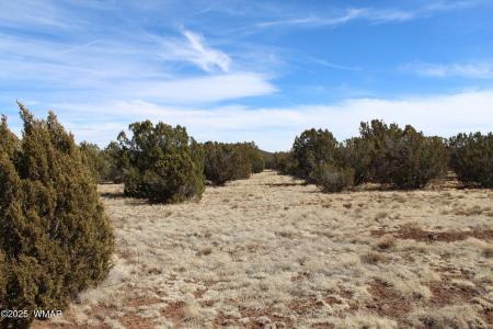 Lot 092C County Road 8238, Concho, Arizona 85924, Estados Unidos