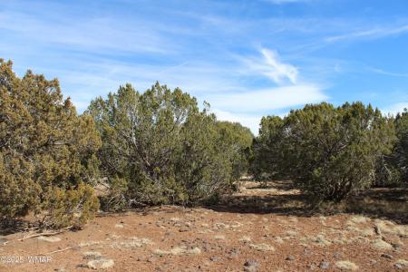 Lot 092C County Road 8238, Concho, Arizona 85924, Estados Unidos