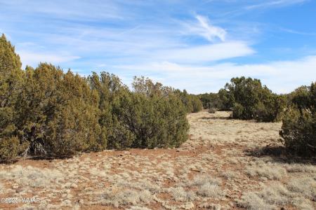 Lot 092C County Road 8238, Concho, Arizona 85924, Estados Unidos