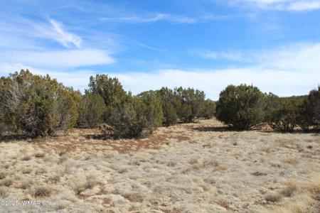 Lot 092C County Road 8238, Concho, Arizona 85924, Estados Unidos