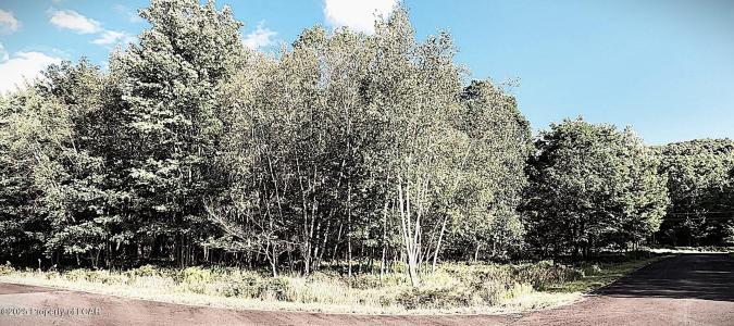 LV Lot 190 Fawn Lily Crnr Arrowwood Drive, Hazle Twp, Pennsylvanie 18202, États-Unis