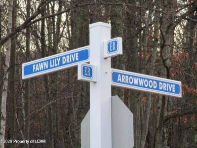 LV Lot 190 Fawn Lily Crnr Arrowwood Drive, Hazle Twp, Pennsylvania 18202, Stati Uniti