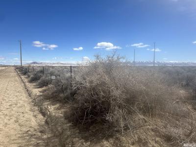 SR 290, Winnemucca, ネバダ 89445, アメリカ合衆国