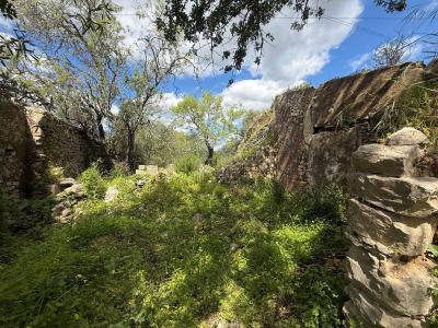 São Brás De Alportel, Faro 8150-046, Portugalia