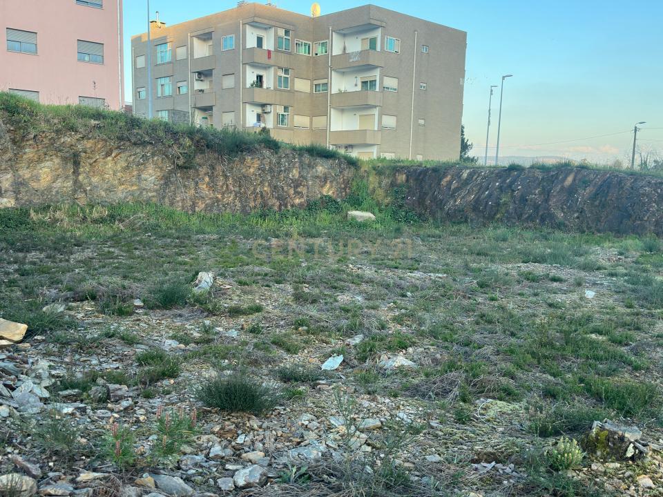Valongo, Porto 4440-290, Portugal