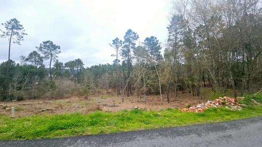 Viseu, Viseu 3510, Portugal