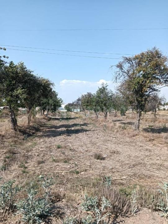 DOMINGO ARENAS 607,, Tlaltenango, Puebla 72600, México