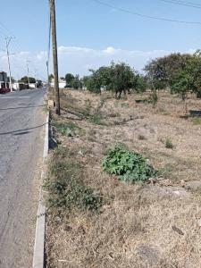 DOMINGO ARENAS 607,, Tlaltenango, Puebla 72600, México