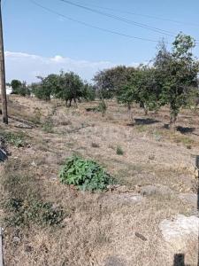 DOMINGO ARENAS 607,, Tlaltenango, Puebla 72600, México