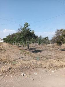 DOMINGO ARENAS 607,, Tlaltenango, Puebla 72600, México