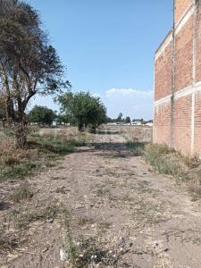 DOMINGO ARENAS 607,, Tlaltenango, Puebla 72600, México