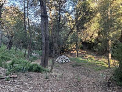 San Martín De Los Andes, Neuquén 8370, Argentine