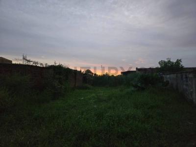 Nueva Trinidad I., Beni 00001, Bolivien