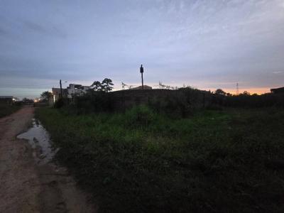 Nueva Trinidad I., Beni 00001, Bolivien