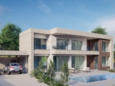 Souni-Zanakia, 賽普勒斯