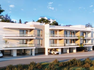 Palodeia, キプロス