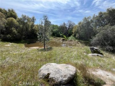 43474 Werney Rd, Coarsegold, Kalifornia 93614, USA