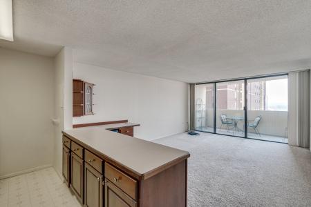 1020 15th Street #13-M, Denver, 科羅拉多州 80202, 美國