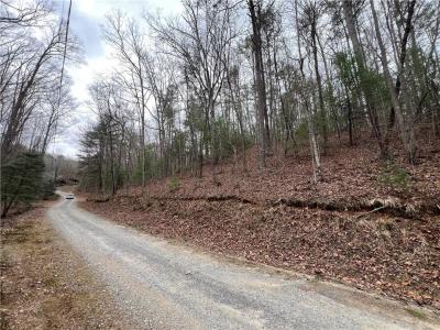 0 Rustic Way, Ellijay, Georgia 30540, USA