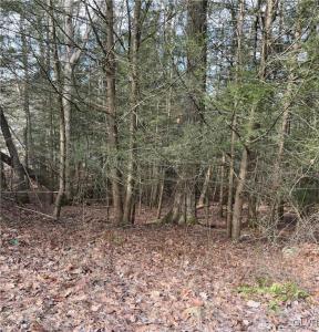 2287 Locust Ridge Road #5, Tobyhanna Twp, ペンシルベニア 18347, アメリカ合衆国