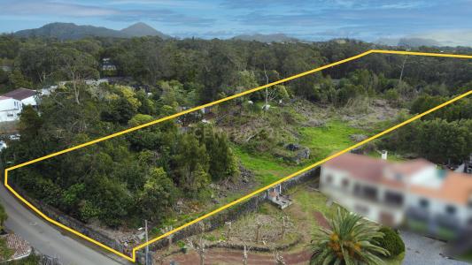 Lagoa, São Miguel 9650-406, Portugal