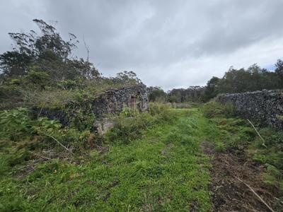 Lagoa, São Miguel 9650-406, Portugal