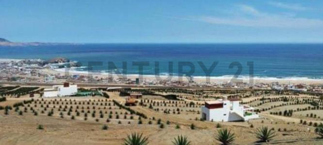 Panamericana Sur KM 43.7 , Lima, Lima 00001, Peru