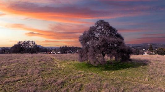 Angels Road, San Andreas, California 95249, Estados Unidos