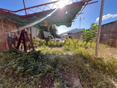 La paralela Lote, Porlamar, Nueva Esparta 00001, 베네수엘라