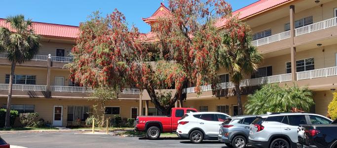 2402 ECUADORIAN WAY Unit #20, Clearwater, Florida 33763, USA