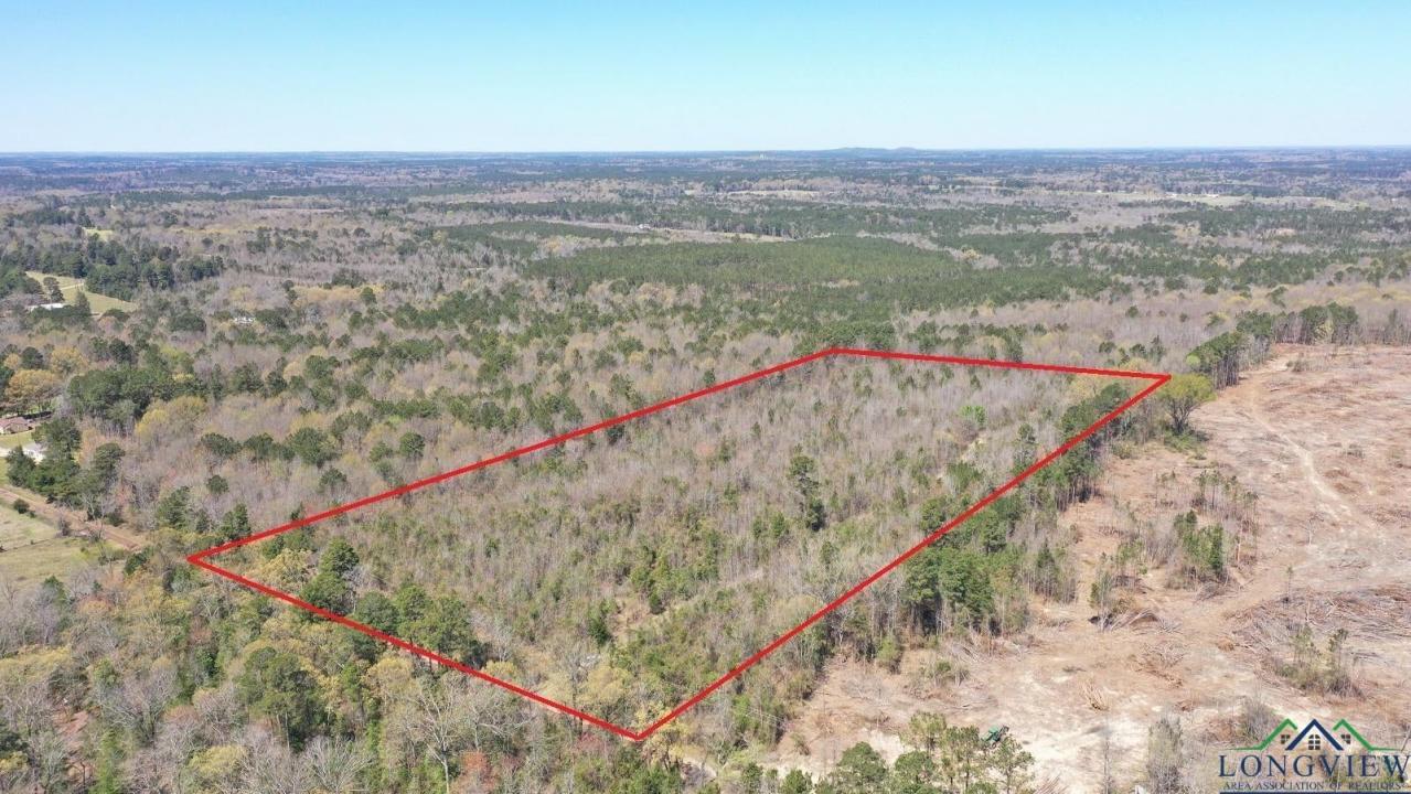 TBD CR 1244, Linden, Texas 75563, États-Unis