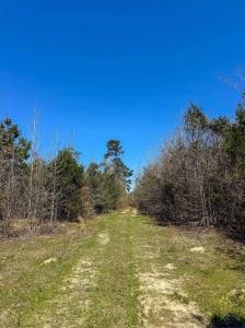 TBD CR 1244, Linden, Texas 75563, États-Unis