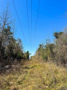 TBD CR 1244, Linden, Texas 75563, États-Unis