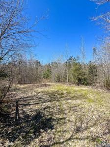 TBD CR 1244, Linden, Texas 75563, États-Unis