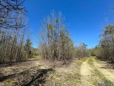 TBD CR 1244, Linden, Texas 75563, États-Unis