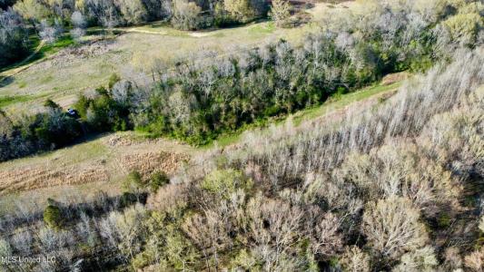 1263 N Ratliff Road Lot 21, Jackson, Mississippi 39209
