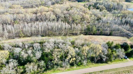 1263 N Ratliff Road Lot 21, Jackson, Mississippi 39209, USA